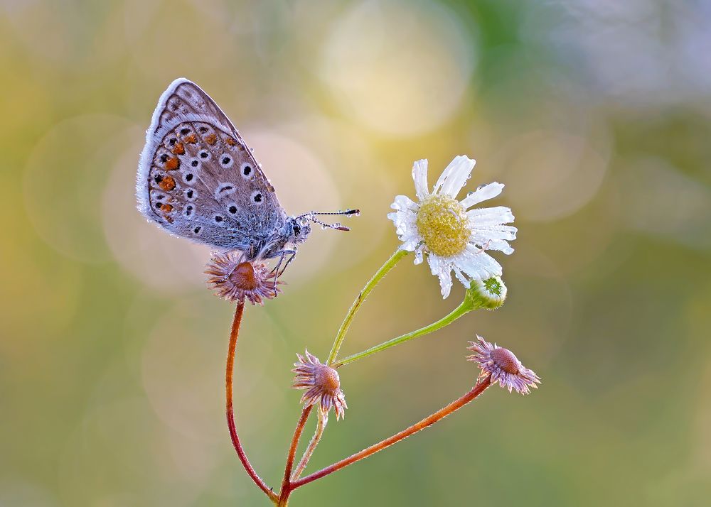 Photograph by Чепленко Алексей