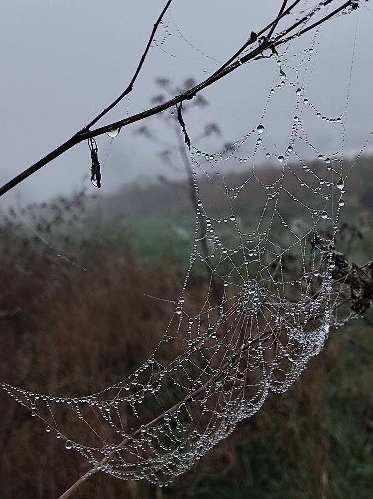 Фотография автора Инга Шевелёва
