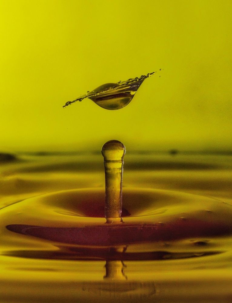 Photograph by Leanid Kulpo