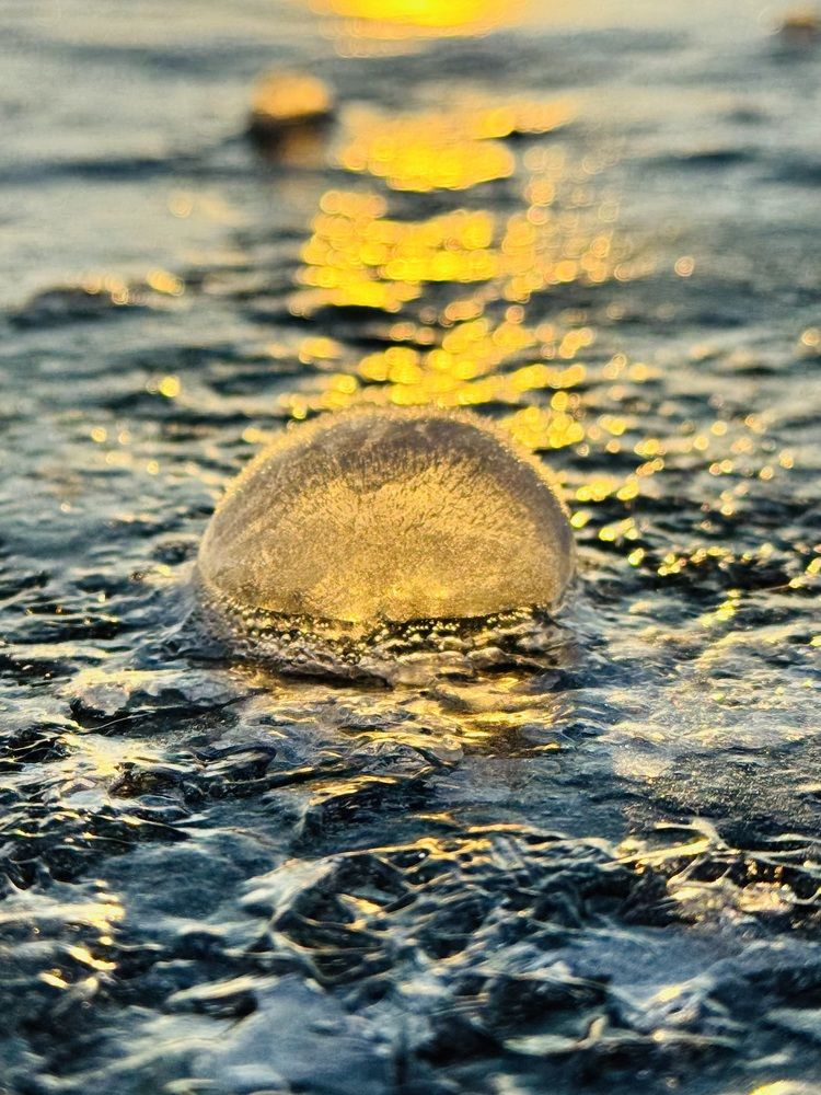 Photograph by Николай Корнилов