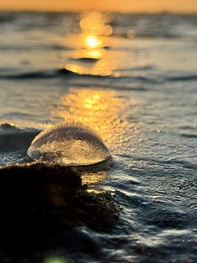 Photograph by Николай Корнилов