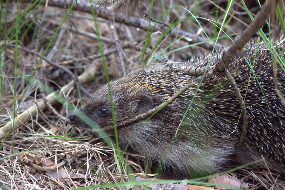 Photograph by Светлана Кравченко