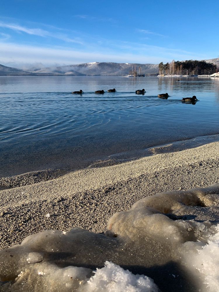 Фотография автора Дмитрий Грехов