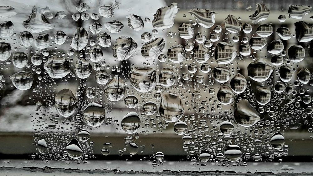 Photograph by Мирон Сергей