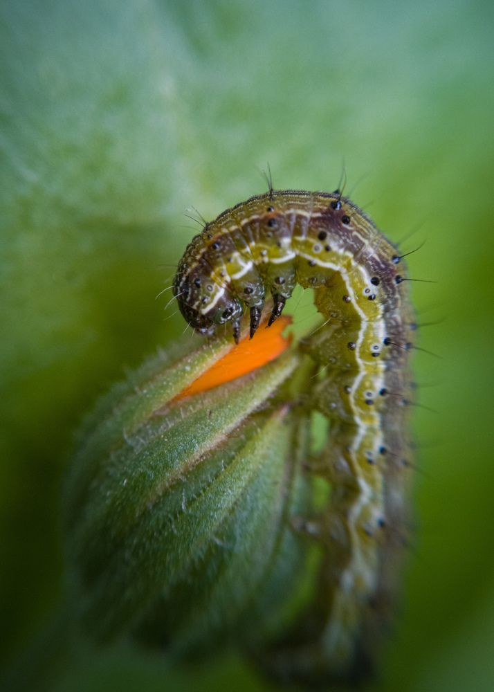 Photograph by Алексей Крукович