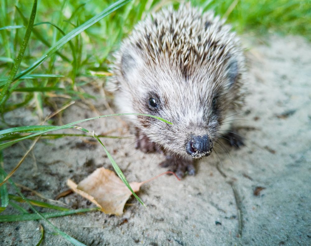 Photograph by Алексей Крукович