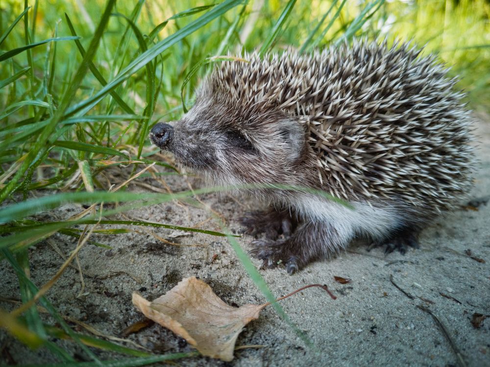 Photograph by Алексей Крукович