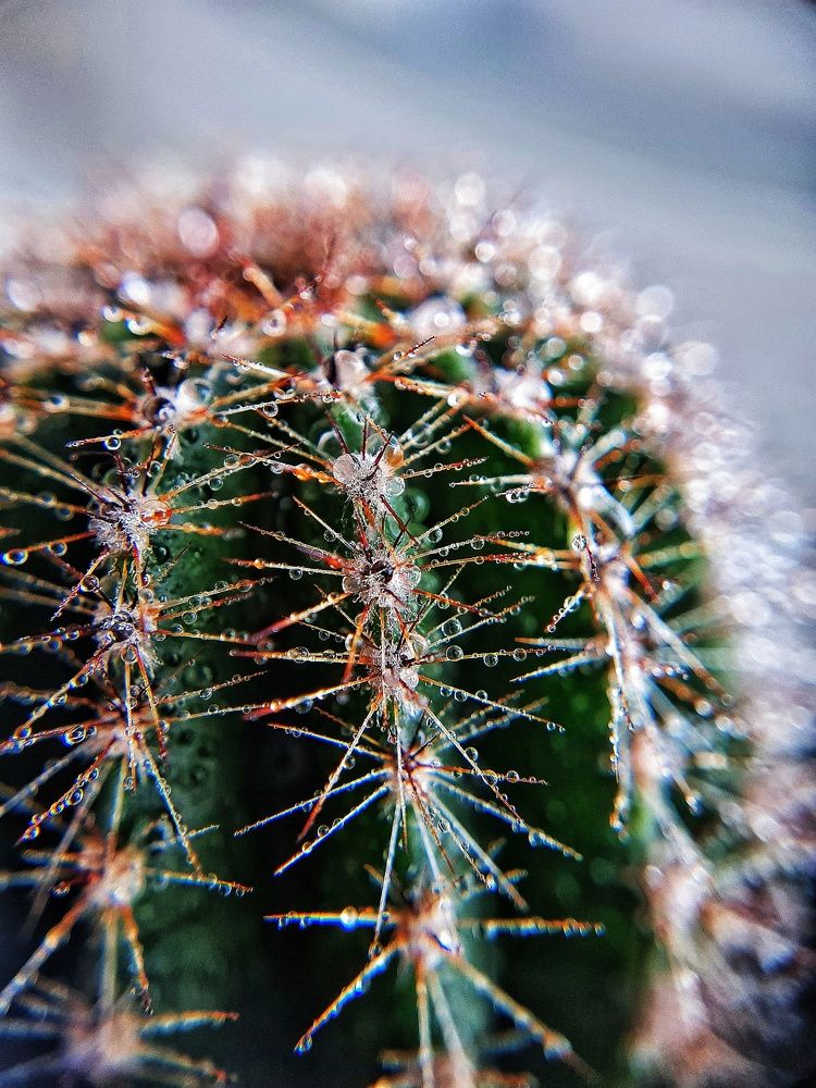 Photograph by Ольга Веселова