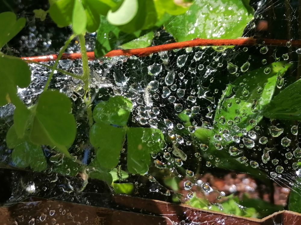 Photograph by Тамара Багровская