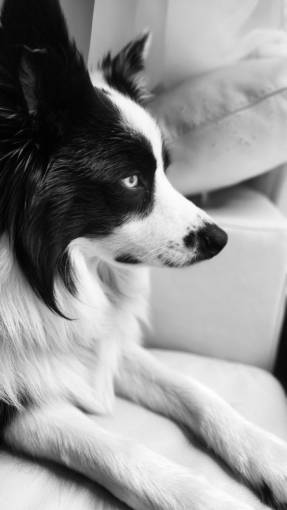 Моменты размышлений