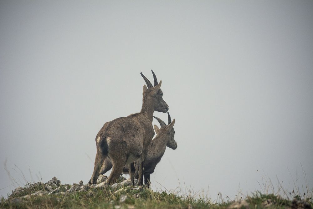 Photograph by Renee Johansson