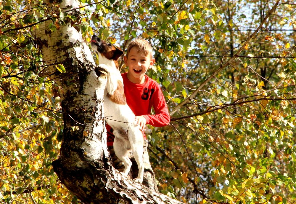 Photograph by Жанна Нечаева