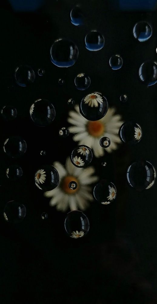 Photograph by Елена Сабирова