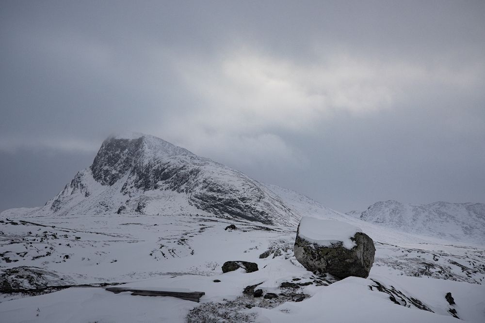 Photograph by Renee Johansson