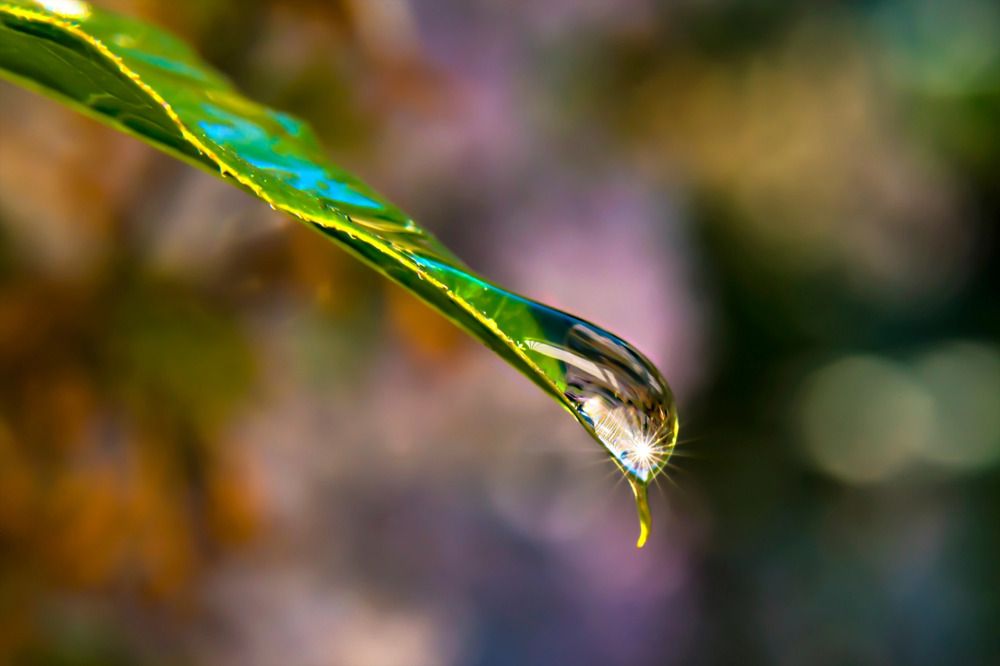 Фотография автора Марина