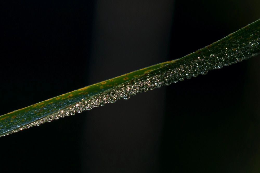 Фотография автора Марина