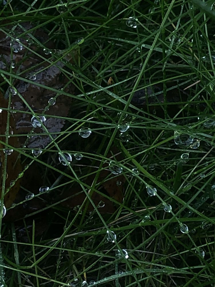 Photograph by Светлана Долганова