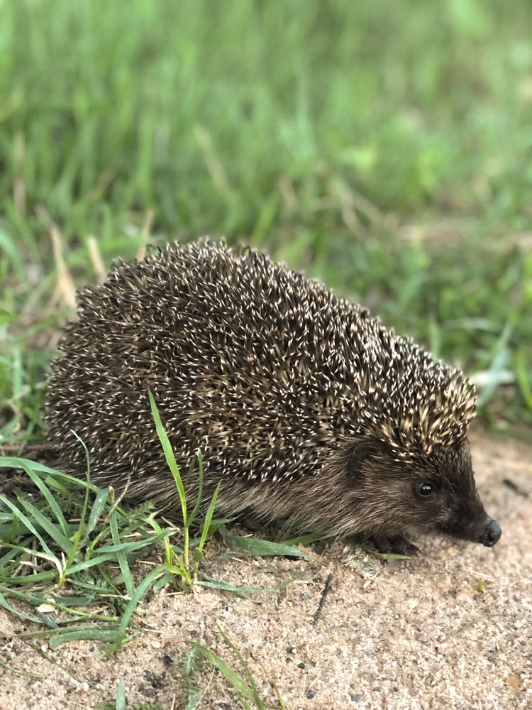 Photograph by Светлана Долганова