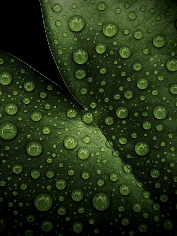 Фотография автора Prabhashwara PSC