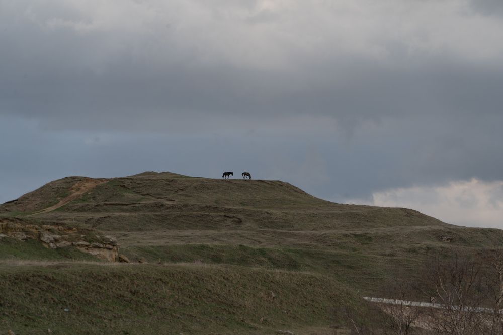 Photograph by Ковригина Евгения