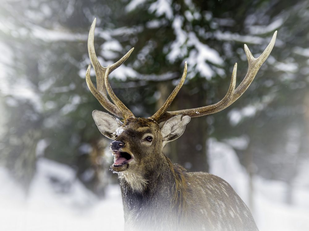 Фотография автора Михаил Ездаков
