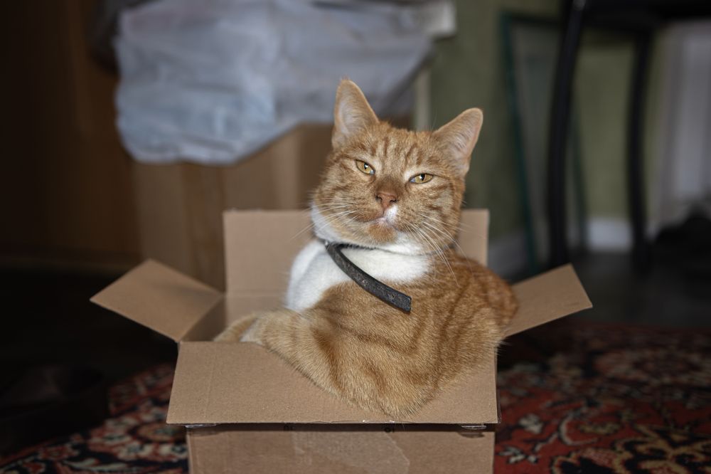 Photograph by Басыров Валерий