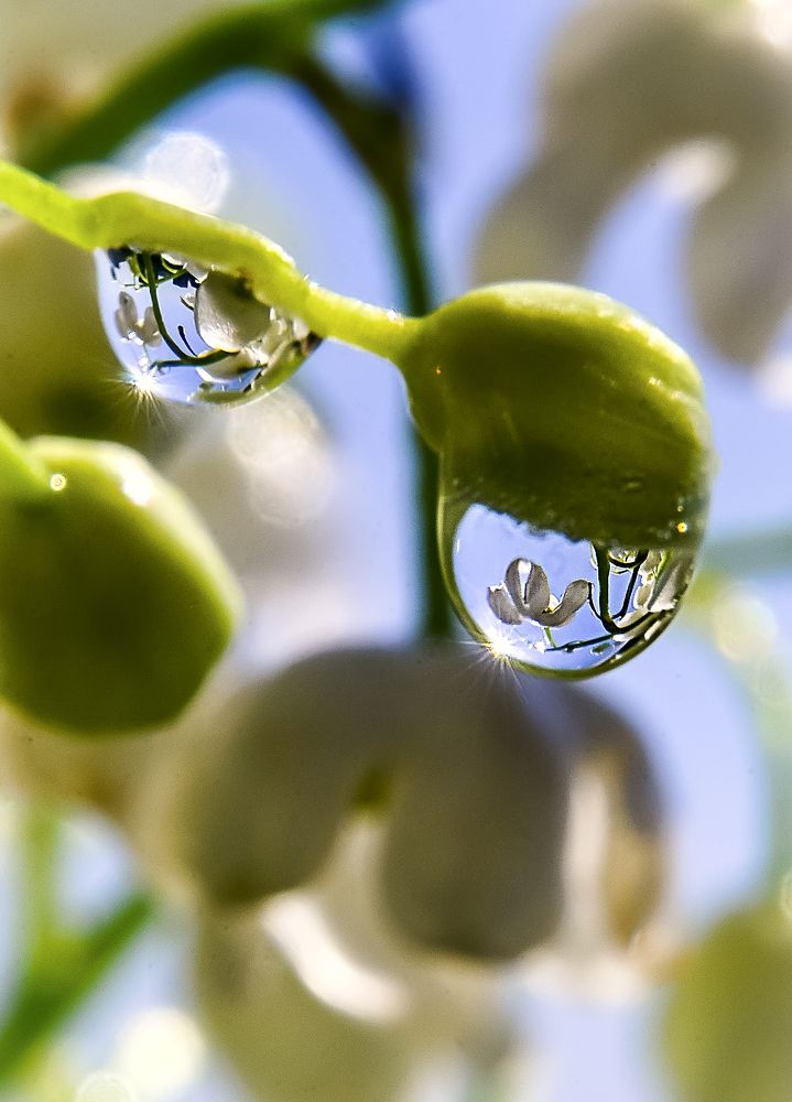 Photograph by Ксения Базарова