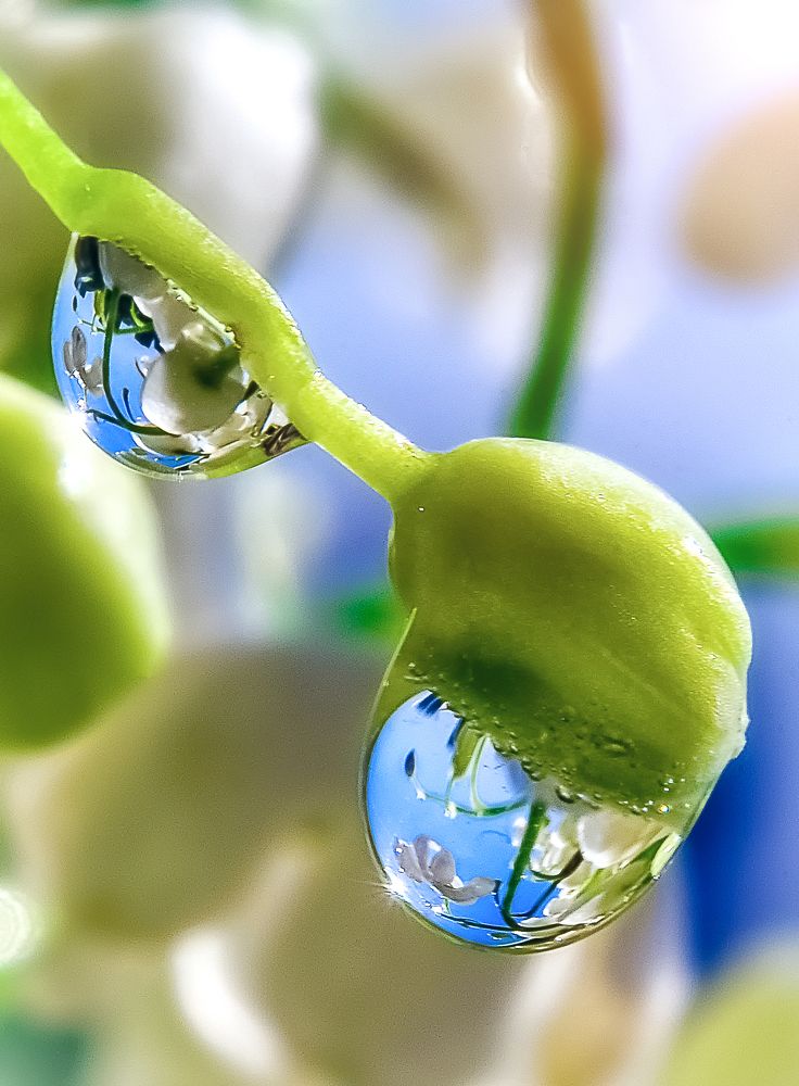 Photograph by Ксения Базарова