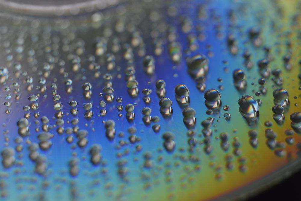 Photograph by Olga Mendosa