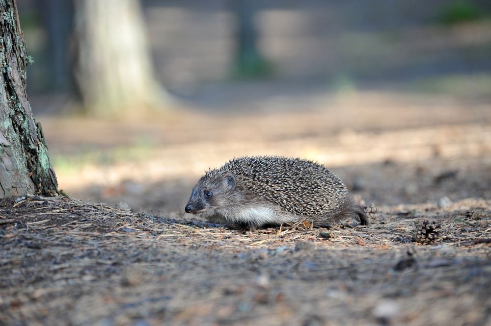 Photograph by Юрий Яковлев