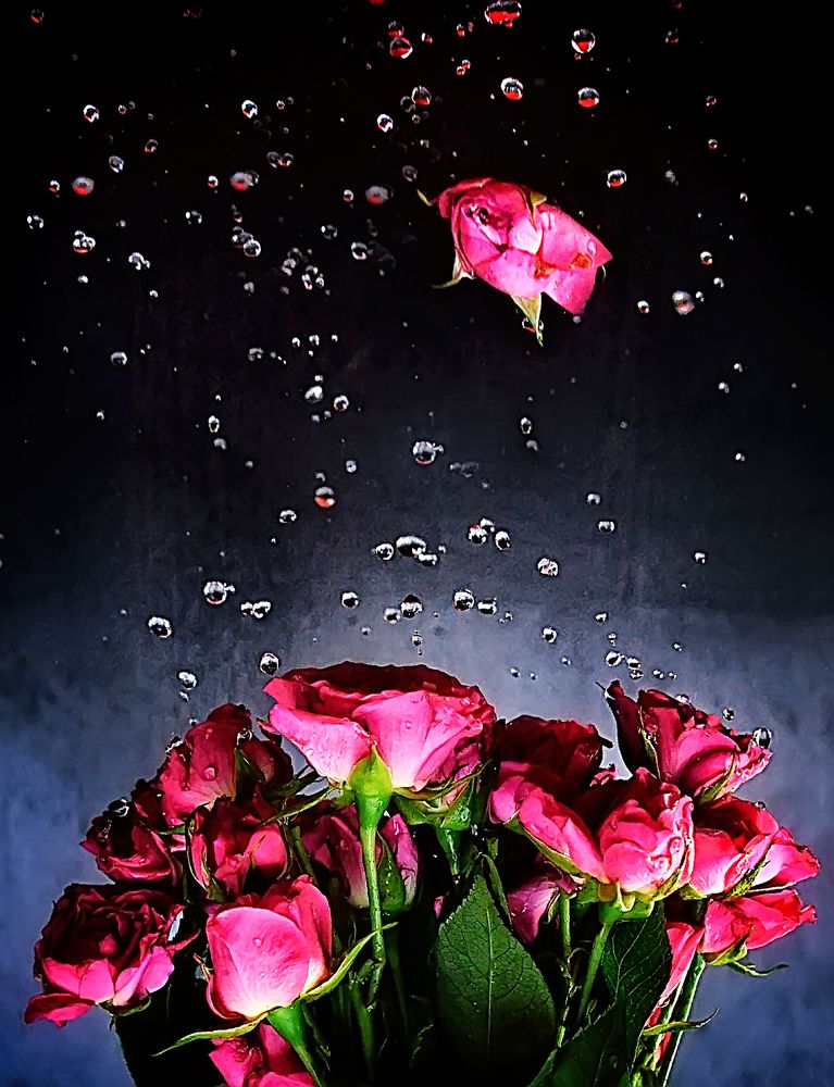 Photograph by Ксения Базарова