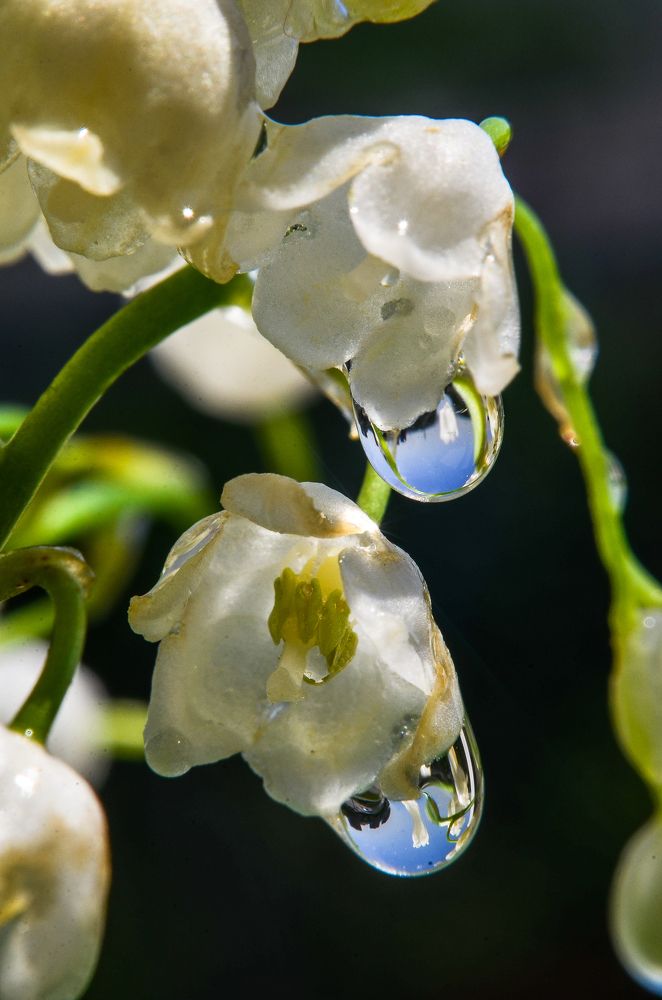 Photograph by Ксения Базарова