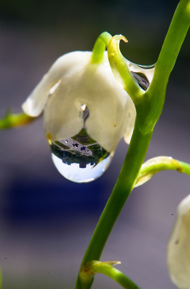 Photograph by Ксения Базарова