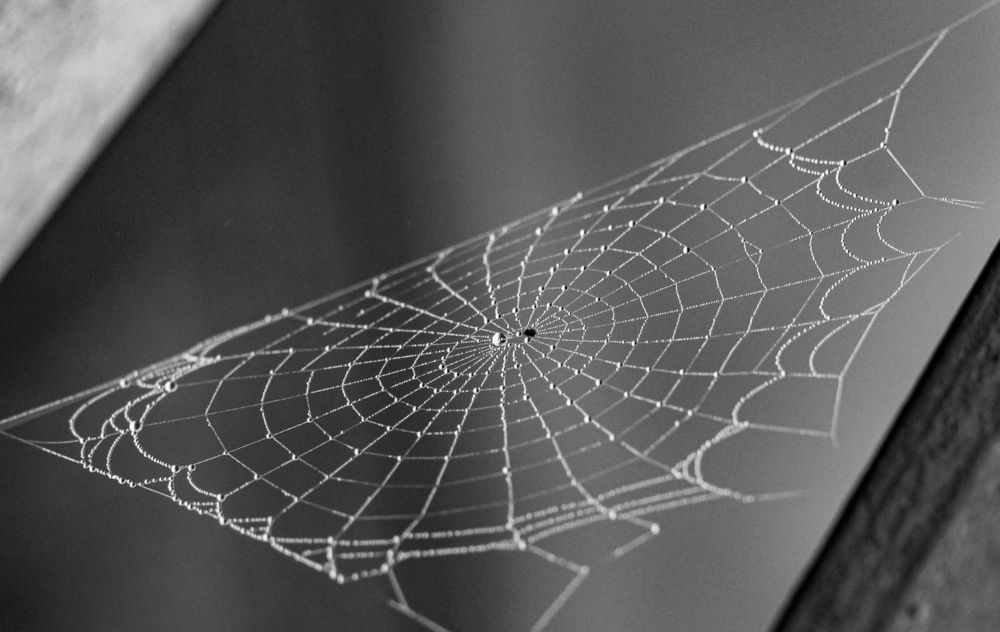 Photograph by Irina Luidinshina