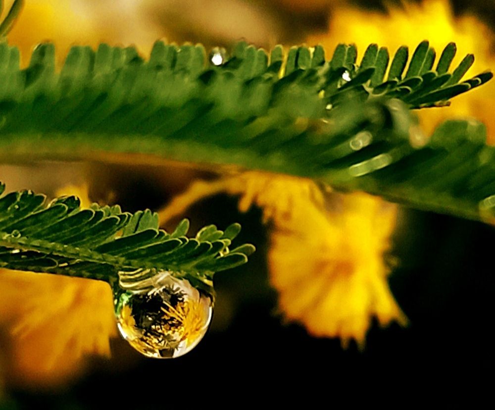 Photograph by Ольга Тихонова