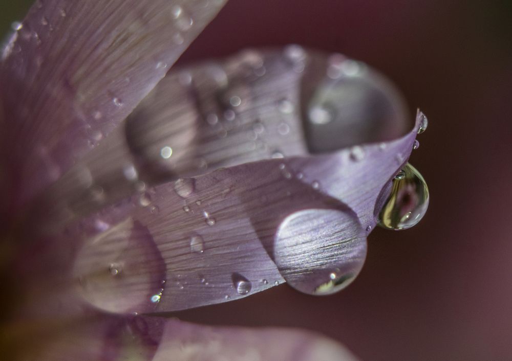 Фотография автора Шипунова Ирина