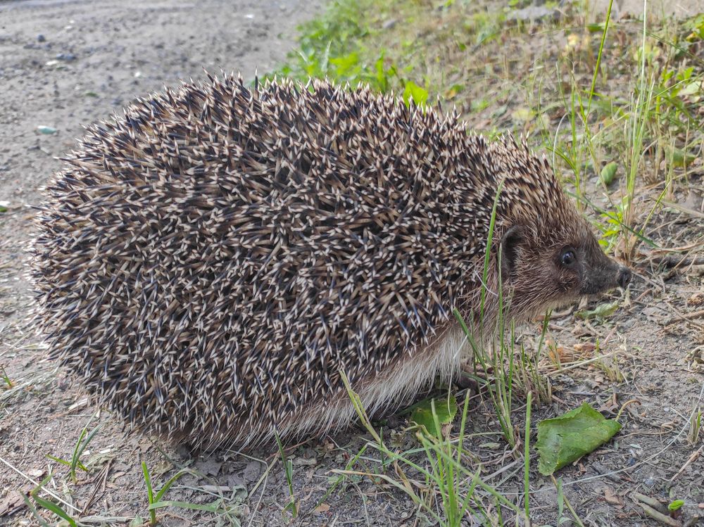 Photograph by Карина Заводчикова