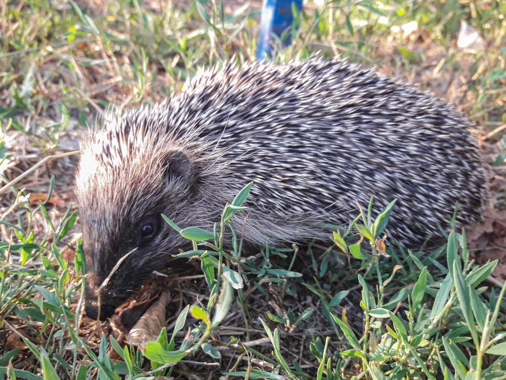 Photograph by Карина Заводчикова