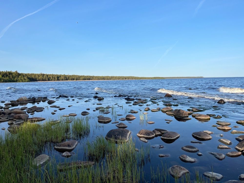 Photograph by Болдырева Ольга