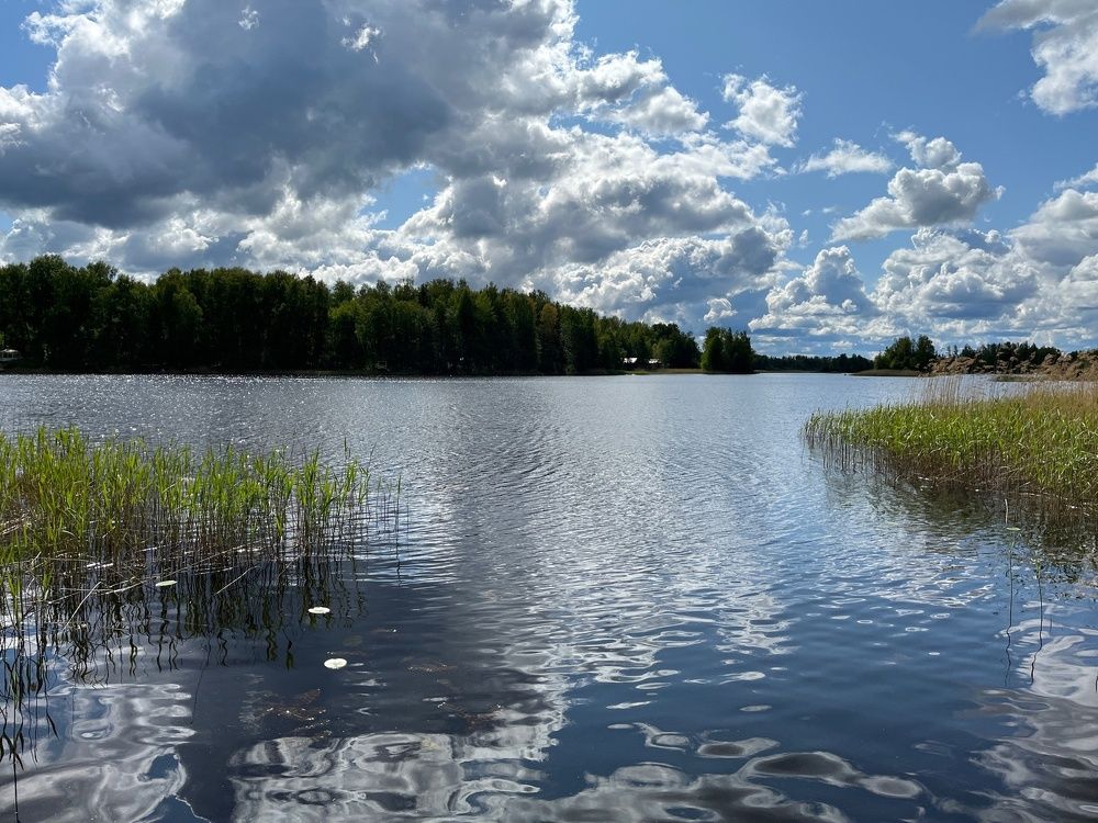 Photograph by Болдырева Ольга