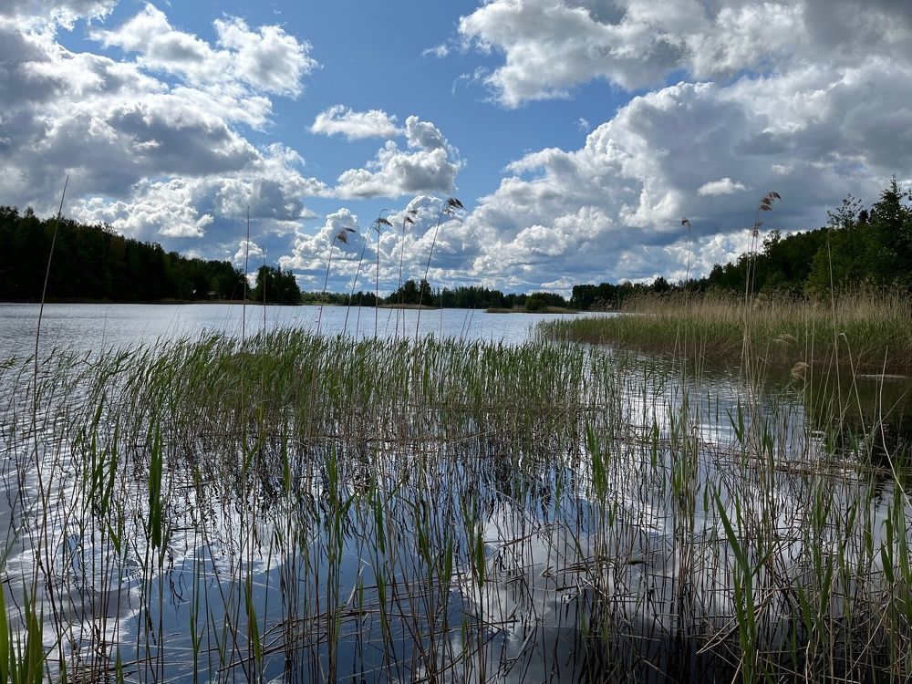 Photograph by Болдырева Ольга