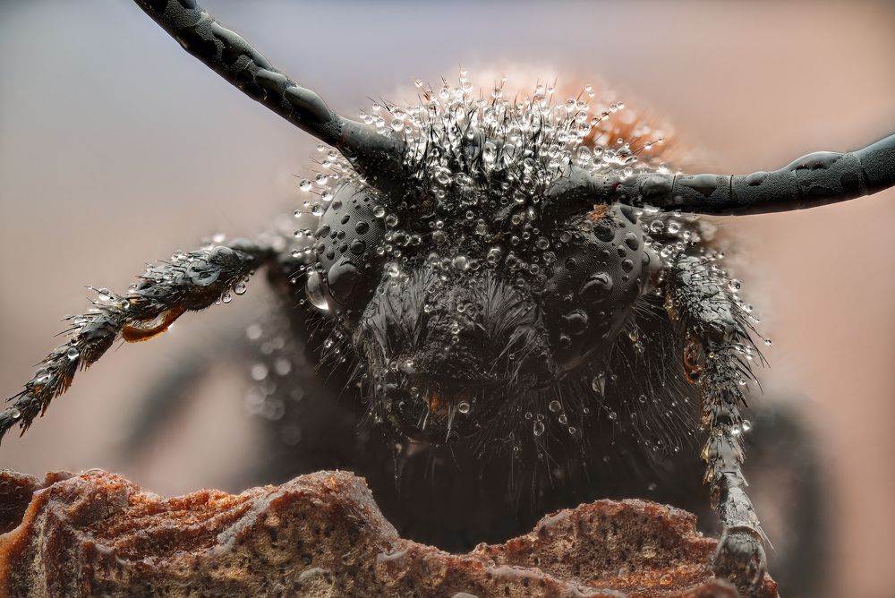 Photograph by Анастасия Подгрушная