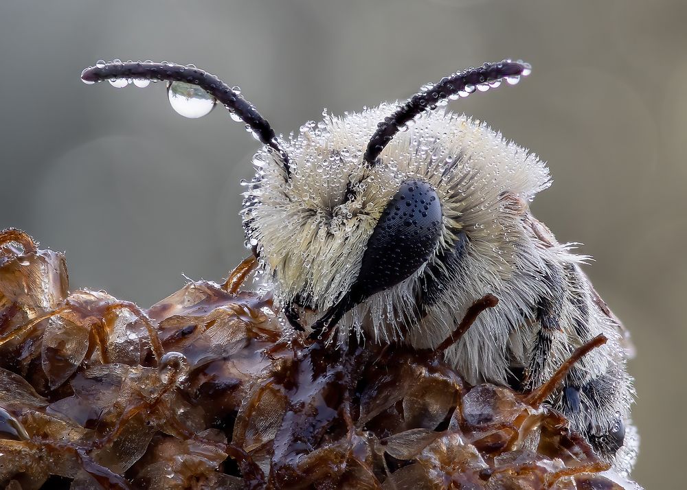 Photograph by Кузнецов Дмитрий