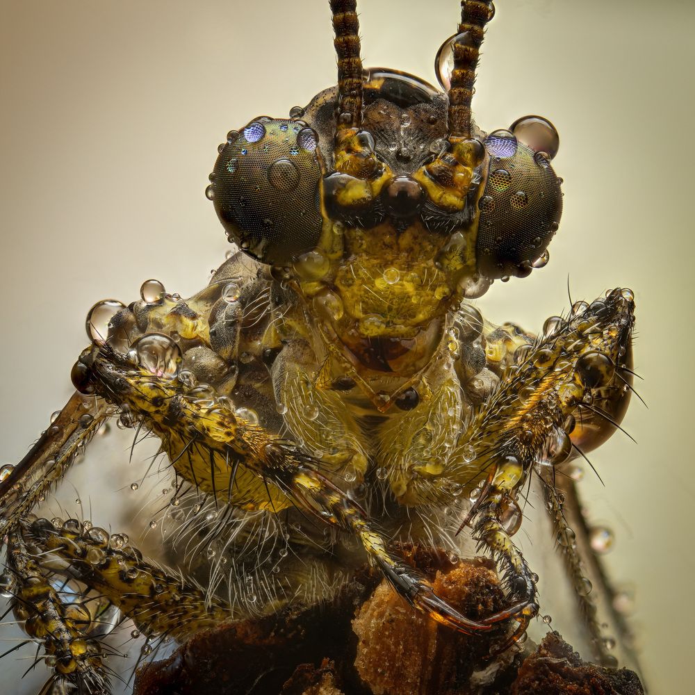 Photograph by Анастасия Подгрушная