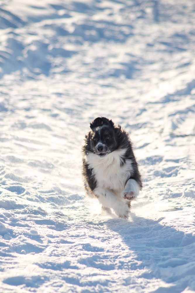 Photograph by Максим Торохов