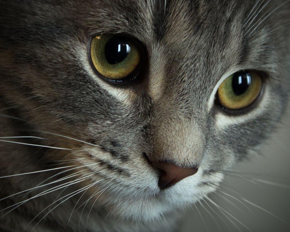 Photograph by Сергей Алексеев