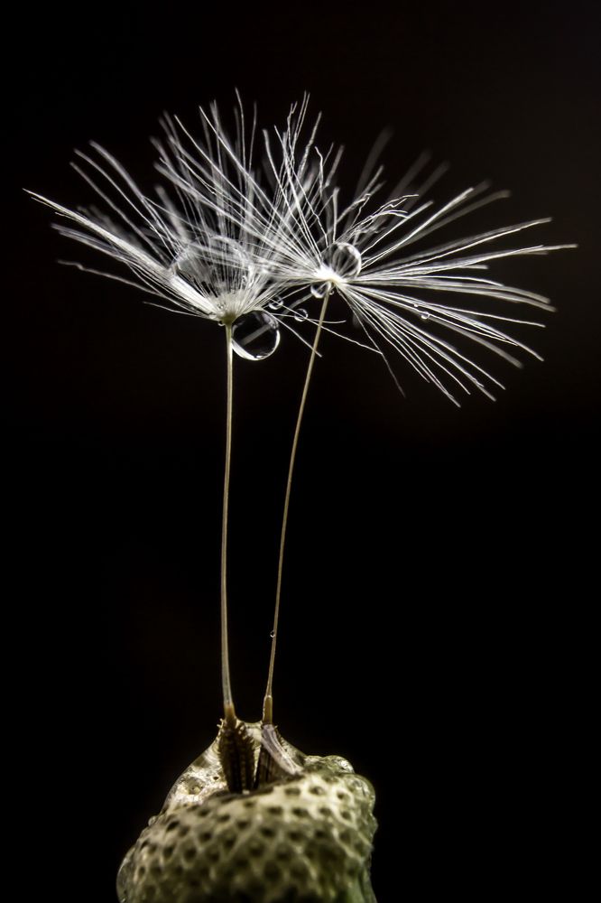 Photograph by Алёна Газукина