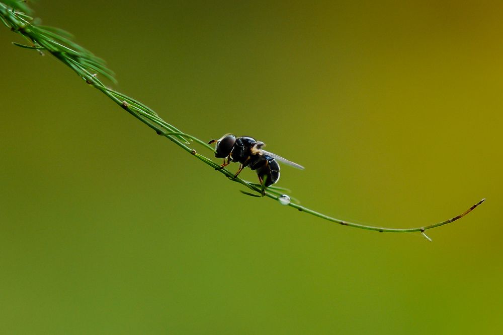 Photograph by shabu joseph