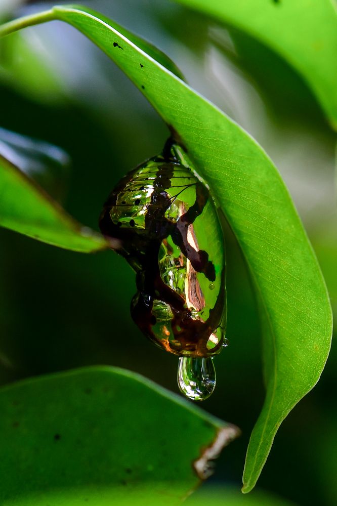 Photograph by shabu joseph