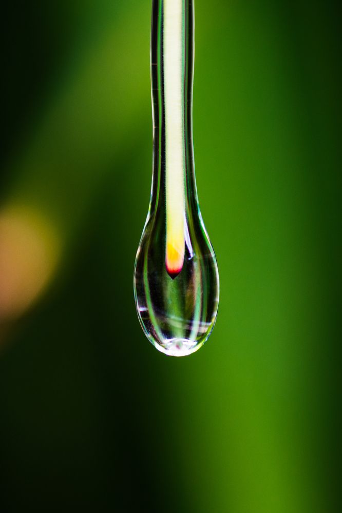 Photograph by shabu joseph